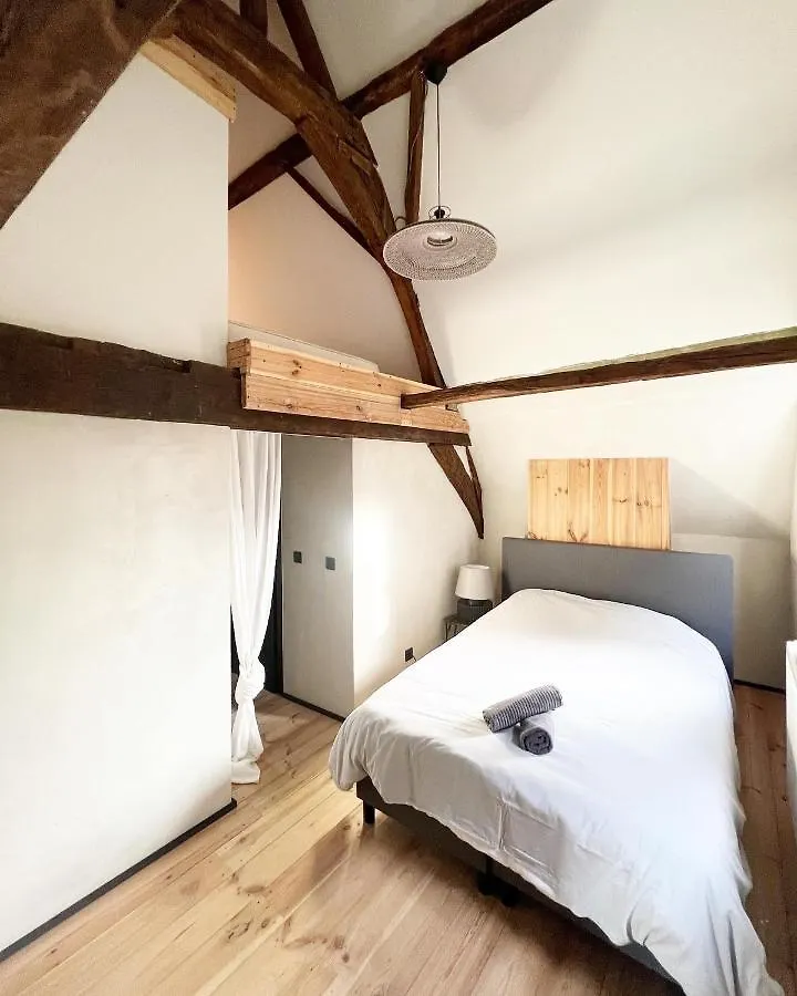 Loulou Home'S Antwerpen 0*,  Belgien